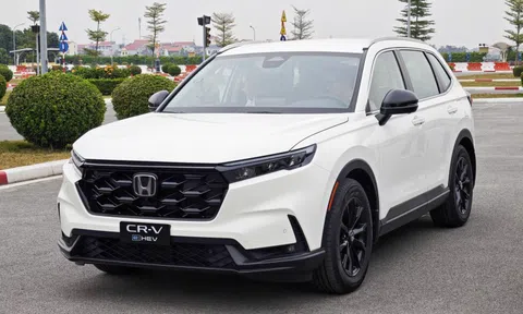 Xem trước Honda CR-V hybrid bản 'giá rẻ' lắp ráp tại Việt Nam
