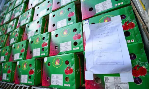 Đề nghị phối hợp cung cấp thông tin về hàng hóa tồn đọng