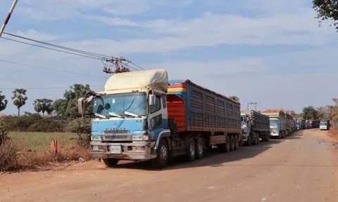 Cấp bách có hướng dẫn kiểm tra thực phẩm nhập khẩu, đảm bảo thông quan hàng hoá