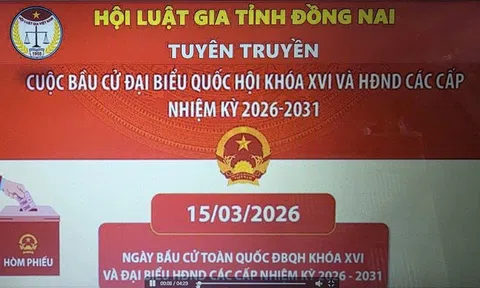 YouTube giúp cử tri Đồng Nai hiểu đúng, thực hiện quyền bầu cử đúng pháp luật