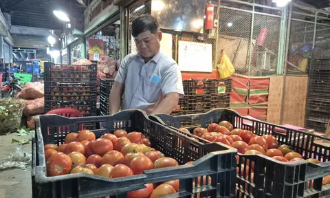 Hộ kinh doanh phải có tài khoản chính chủ: Những nút thắt cần gỡ