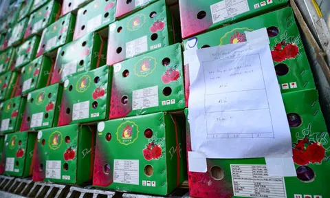 Bộ Nông nghiệp và Môi trường thông tin về Nghị định 46