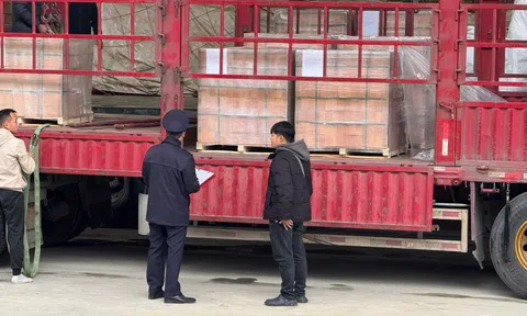 Nghị định 46: Phải sửa căn cơ, không thể chỉ "tạm ngưng"