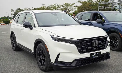 Cuộc chiến xe hybrid tại Việt Nam dần tăng nhiệt