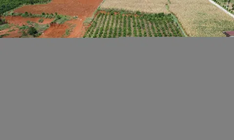 Rõ cách tính tiền chuyển đổi đất vườn lên đất ở