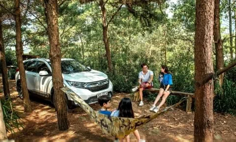 Lái ôtô về miền Tây đón Tết, xe điện hay xe xăng lợi hơn?