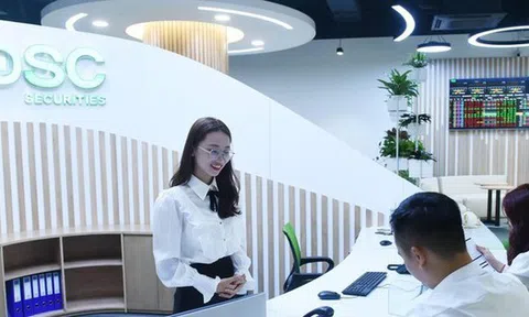 Chứng khoán DSC bị xử phạt vì công bố thông tin không đúng thời hạn