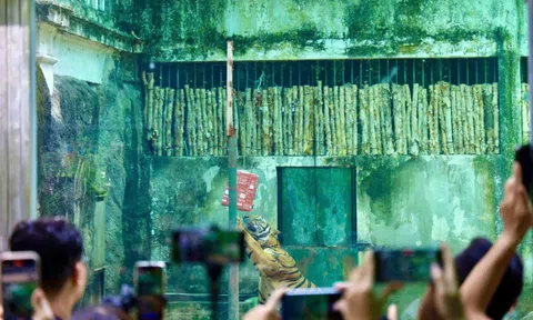 Du xuân cùng muôn thú ở Thảo Cầm Viên