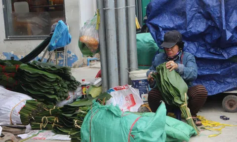 Chợ lá dong lớn nhất TPHCM chỉ họp mỗi năm một lần, nhưng sao ngày càng buồn?