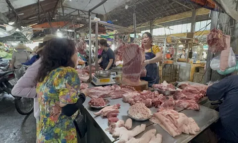 Giá heo hơi hôm nay, 14-2: Giá thịt heo nhảy dựng đứng