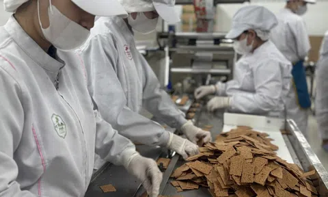 Hành trình đưa bánh dừa Việt Nam ra thế giới của nữ doanh nhân gốc Bình Định