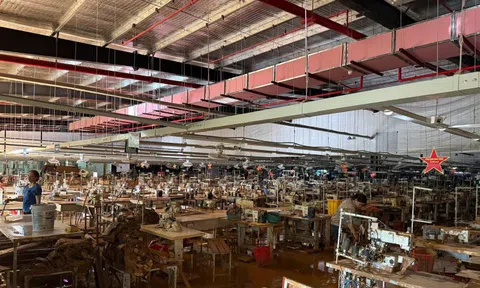 Chuyện chưa kể của các doanh nghiệp bảo hiểm giữa tâm bão năm Ất Tỵ 2025