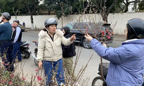 Không khí lạnh tràn về mùng 2 Tết, trời chuyển rét