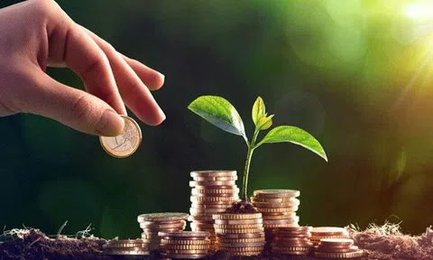 Điểm danh loạt doanh nghiệp chia cổ tức bằng tiền mặt ‘khủng’ trong năm 2025