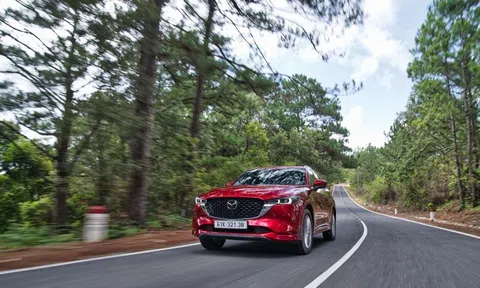 Tin vui đầu năm cho nhóm xe xăng ở Việt Nam