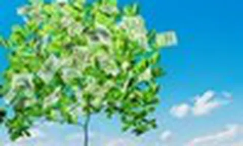 Nhận định thị trường phiên giao dịch ngày 12/2: Mở vị thế mua khi có nhịp điều chỉnh