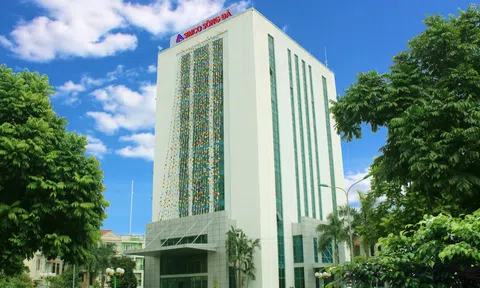 Đình chỉ giao dịch 4 tháng với lãnh đạo SIMCO Sông Đà