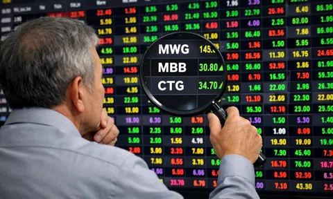 Soi top danh mục các "cá mập" nghìn tỷ: MWG cùng 2 cổ phiếu ngân hàng chiếm sóng