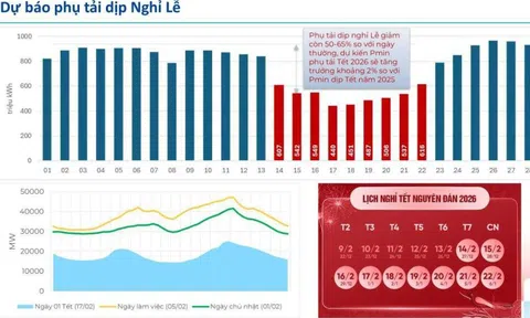 EVN bảo đảm vận hành ổn định hệ thống điện quốc gia dịp Tết