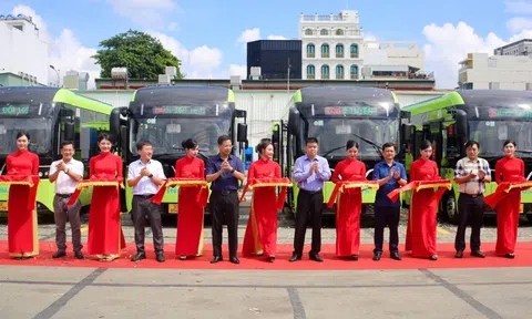 TPHCM có thêm 169 xe buýt điện trên 9 tuyến buýt từ ngày 1-3