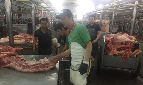 Giá heo hơi hôm nay, 28-2: Diễn biến mới tại chợ đầu mối