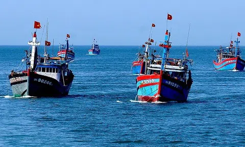 Sớm quản lý tàu cá, ngư dân trên VNeID để giám sát khai thác thủy sản