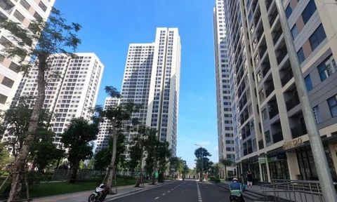 Căn hộ cho thuê hạ nhiệt, phòng trọ gia tăng lượng tìm thuê