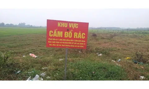 Truy vết người đổ trộm rác