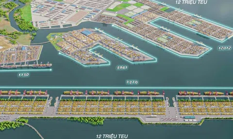 TPHCM mời gọi nhà đầu tư chiến lược thực hiện dự án Cảng trung chuyển quốc tế Cần Giờ