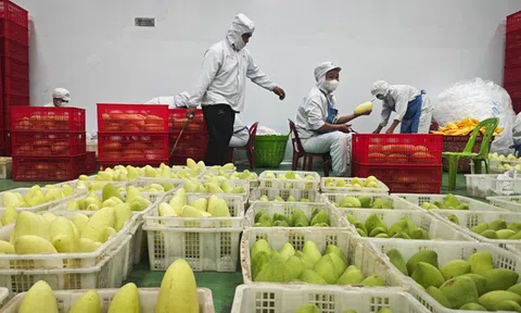 Linh hoạt, bình tĩnh ứng phó