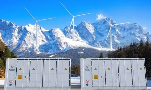 CEO VinEnergo: 'Chúng tôi ra thế giới như 1 nhà phát triển năng lượng toàn cầu'