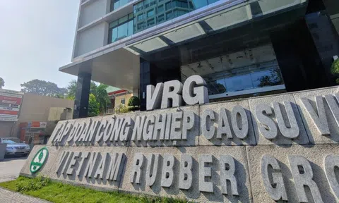 Thanh tra Chính phủ chỉ điểm loạt vi phạm tài chính, đầu tư tại Tập đoàn Cao su Việt Nam