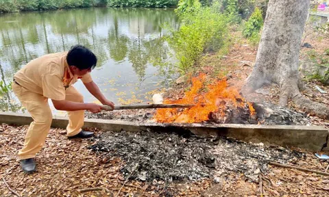 Tây Ninh tiêu hủy hơn 70.000 phôi đăng ký xe