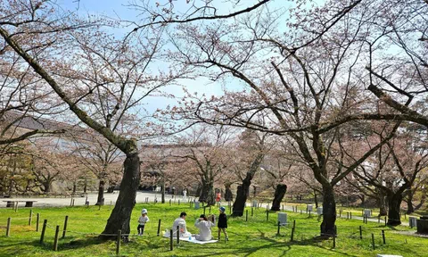 Con số bất ngờ về người Việt đi du lịch Nhật Bản