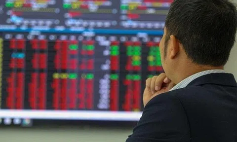 Góc nhìn chuyên gia: Cần tính đến kịch bản VN-Index về 1.600 điểm, một nhóm cổ phiếu có cơ hội đón dòng tiền