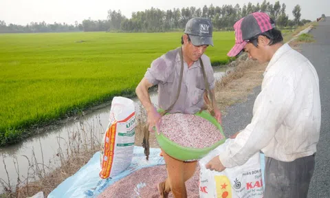 Xung đột Trung Đông khiến giá phân bón tăng mạnh, có tác động tới Việt Nam?