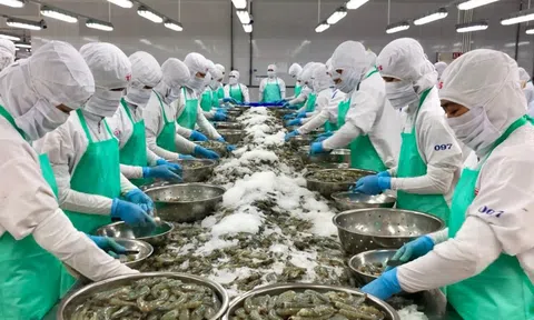 Xuất khẩu tôm khởi sắc đầu năm