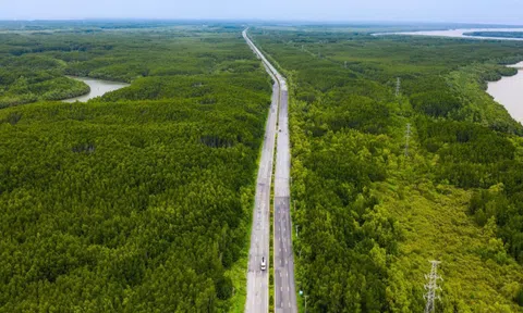Đề xuất đầu tư tuyến vượt biển Cần Giờ – Vũng Tàu dài 14 km