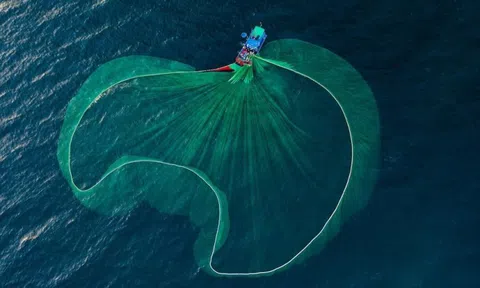 Loạt dự báo bất ngờ về thị trường chứng khoán sau phiên giảm điểm kỷ lục