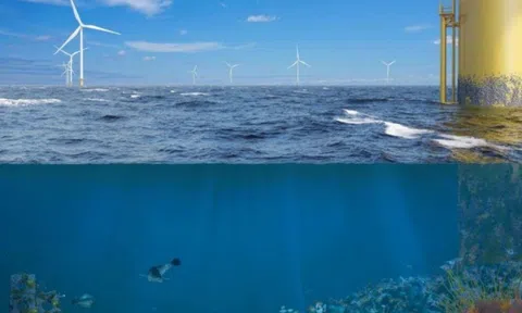 Khi trang trại điện gió ngoài khơi không chỉ tạo ra điện