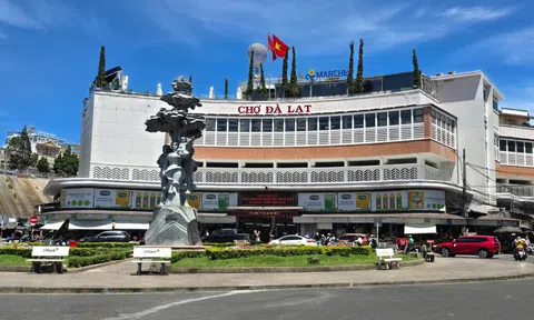 Làm rõ trách nhiệm cho thuê ki-ốt ở chợ Đà Lạt