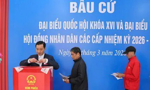Những phiếu bầu cử nào được coi là phiếu bầu cử hợp lệ?