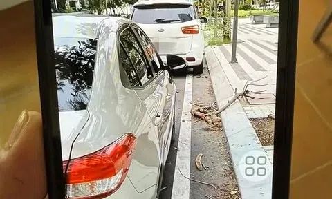 Đỗ xe đúng luật - 25 cm từ mép vỉa hè hay vạch kẻ đường?