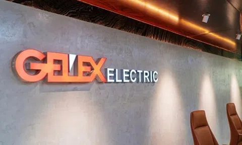 Gelex Electric dự chi khoảng 915 tỷ đồng trả cổ tức