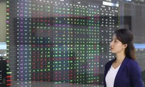 Dự báo VN-Index tiếp tục rung lắc