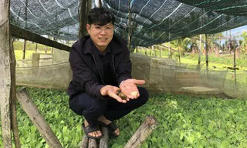 Làm giàu từ nông nghiệp sạch