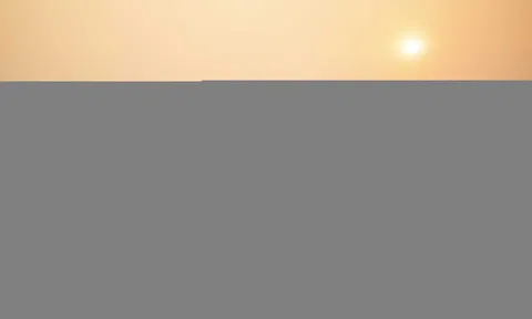 Thị trường xe hybrid Việt chia 2 nửa buồn vui