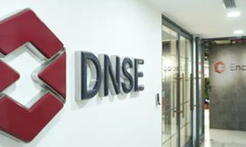 Chứng khoán DNSE đón cổ đông lớn mới