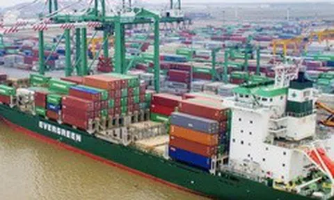 Viconship hoàn tất nhận chuyển nhượng 65% vốn một doanh nghiệp để thực hiện dự án tại Hải Phòng