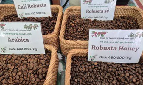 Giá cà phê hôm nay 18-3: Arabica – Robusta đồng loạt tăng, tín hiệu đảo chiều rõ nét